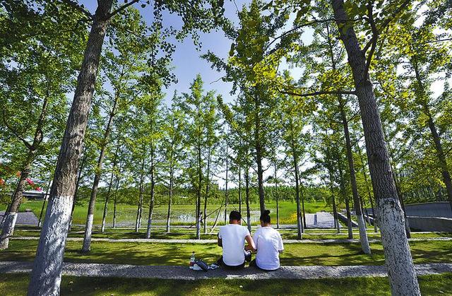 ����ׂ��ﶬ�������Ⱦ�����������x