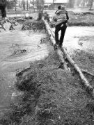 ����3�����ט򱻛_����������y �l���������e�O�f�{