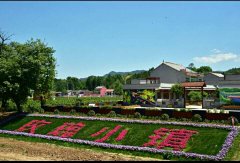 ���Ͽh�������M�׵ط�ؚ���w